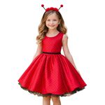 Vestido Infantil Curto Fantasia Joaninha Tiara Temática