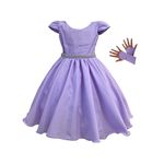 Vestido Curto Lilás Princesa Rapunzel Sofia Lilás Aniversário