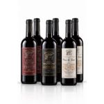 KIT RADICI | 6 Vinhos Tintos