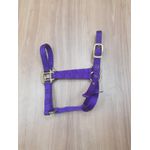 Cabresto para Potro Nylon Roxo Importado 6602