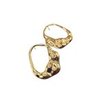 Brinco Feminino Forma Livre Grande Dourado