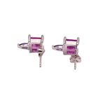 Brinco Feminino Soberana Glam Prata