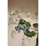 Brinco Orquídea