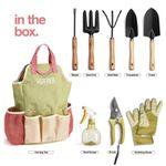 Kit completo de ferramentas de jardim com bolsa e luvas