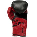 Caneleira Muay Thai e Luva de Boxe SAMURAY Copia