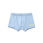 Cueca Henrique