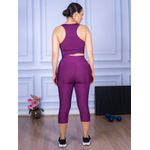 Conjunto Corsário e Top Nadador Suplex Roxo