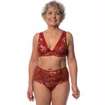 SUTIÃ SEM BOJO COM ARO EM RENDA E TULE - TERRA
