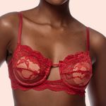 0668 S S BOJO C ARO - DIVINO