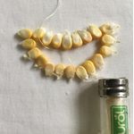 Fio Dental Ecológico e Biodegradável de Milho 30m - Natural