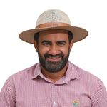 Chapéu Café no Brasil em Juta Fita em Couro sintético timbrado Bege