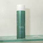 Shampoo Antiqueda - Scalp e Hair Balance 250ml