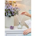 Aromatizador Essência Lavanda 250ML Greenswet