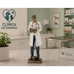Escultura Decorativa Medico Veterinário Em Resina Branco E Dourado 25cm