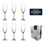 Jogo 6 Taças Champagne Cristal Gastro 220ml Bohemia