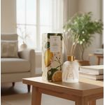 Difusor De Perfume Citrus Verbena Lenvie 200ml