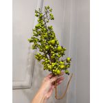 Galho Grande De Natal Berry Frutinhas Verde 60cm Tok da Casa