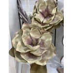 Haste Magnolia Eva Creme Outono 90cm