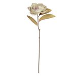 Haste Magnolia Eva Creme Outono 90cm