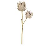 Haste 2 Protea Palha Outono Luxo 64cm