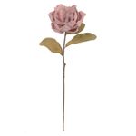 Haste Magnolia Eva Rosa Outono 90cm