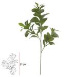 Galho Verde Clusia Grande Folhagem Artificial Para Decoração