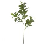Galho Verde Clusia Grande Folhagem Artificial Para Decoração