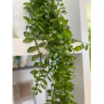 Folhagem Pendente Toque Real Artificial Jardim Arranjo Flor