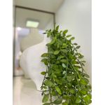 Folhagem Pendente Toque Real Artificial Jardim Arranjo Flor