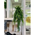 Folhagem Pendente Grass 94cm Artificial Jardim Arranjo Flor