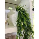 Folhagem Pendente Grass 94cm Artificial Jardim Arranjo Flor