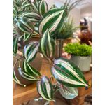 Folhagem Pendente Lambari Artificial Verde Purpura 60cm