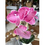 Arranjo De Orquídea 1 Haste Flor Artificial Centro De Mesa Rosa