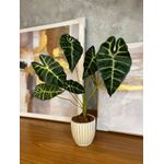 Galho Folhagem Alocasia Artificial P Decoração Real Toque Verde
