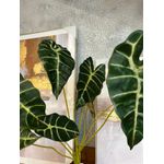 Galho Folhagem Alocasia Artificial P Decoração Real Toque Verde