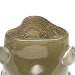 Vaso Coleção Orgânica Em Vidro Esverdeado M