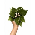 Flor Natalina Bico De Papagaio Veludo Verde Natal