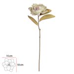 Haste Magnolia Eva Creme Outono 90cm