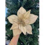 Flor Natalina Flor De Natal Champagne Veludo Com Glitter