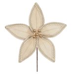 Flor Natalina Flor De Natal Aveludado Bege Com Dourado