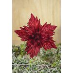 Flor Natalina Poisentia Marsala 35cm