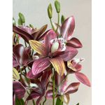 Buque De Orquidea Cymbidium Com 5 Galhos E Folhas Toque Real