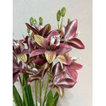 Buque De Orquidea Cymbidium Com 5 Galhos E Folhas Toque Real