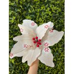 Flor De Natal Natural Palha Com Detalhes Em Vermelho
