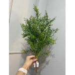Galho Verde Alecrim Grande Folhagem Artificial P Decoração