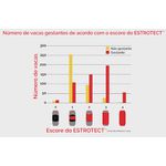 Adesivo Detector de Cio Estrotect - Pacote com 10 Unidades