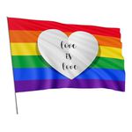 Bandeira Lgbtqiapn+ Resistência Tecido Sublimado 1,70x1,20