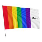 Bandeira Lgbtqiapn+ Resistência Tecido Sublimado 1,70x1,20