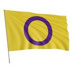 Bandeira Em Tecido Sublimado Lgbtqia+ 1,70x1,20