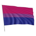 Bandeira Em Tecido Sublimado Lgbtqia+ 1,70x1,20
